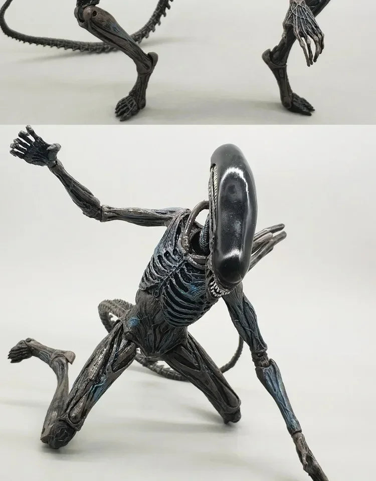 NECA Xenomorph Alien vs. Predator Action Figure — Fully Articulated Collectible with Movable Joints, Cool Toy & Gift