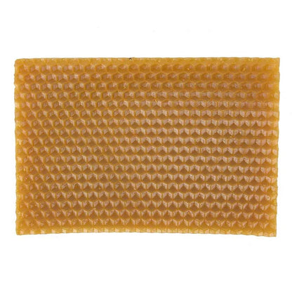 Yellow Honeycomb Foundation Bee Hive Wax Frames: Set of 10 - Premium Beekeeping Equipment for Excellent Hive Management