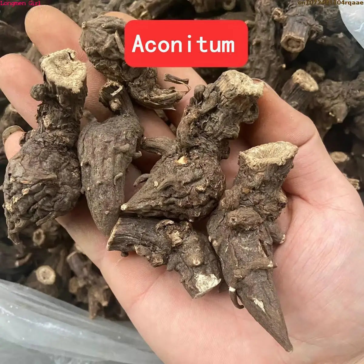 Natural Aconitum Root Botanical Decor - 100g/250g Dried Plant Display for Decorative Use