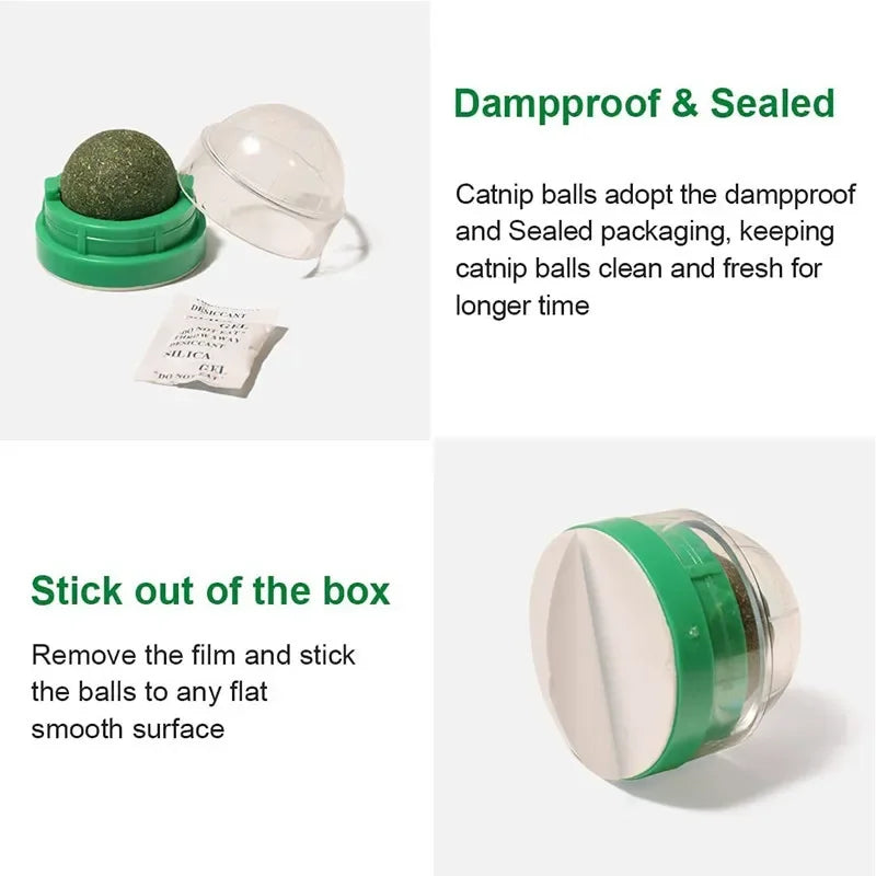 Natural Catnip Scratching Post – Wall Sticker and Ball Toy for Cats, Therapeutic Healthy Pet Products for Scratching and Play