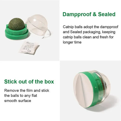 Natural Catnip Scratching Post – Wall Sticker and Ball Toy for Cats, Therapeutic Healthy Pet Products for Scratching and Play