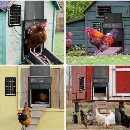 Solar-Powered Auto Chicken Coop Door – Automatic with USB Charging, 4 Modes, Timer & Light Sensor