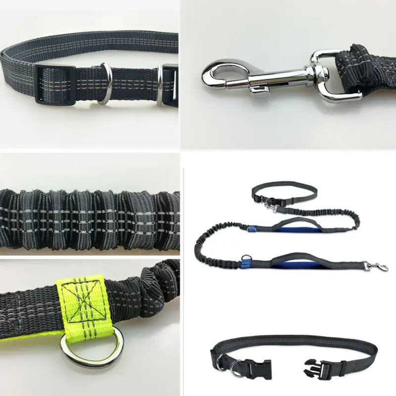 Reflective Pet Dog Running Belt: Elastic Hands-Free Jogging Leash with Metal D-Ring Harness - Traction Rope for Freely Jogging Pull