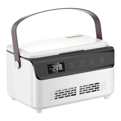 Portable Insulin Cooler Box - 220V Mini Refrigeration Storage Case with USB Charging Battery for Medication Cooling