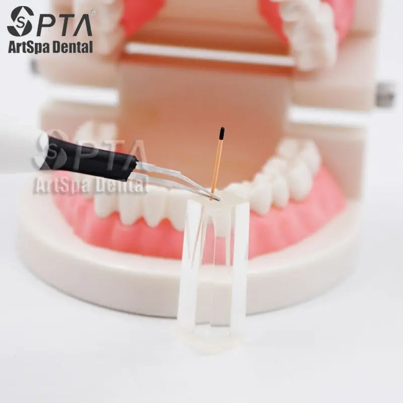 Dental Endo Gutta Percha Cutter with 4 Tips – Teeth Whitening & Oral Hygiene Dental Equipment