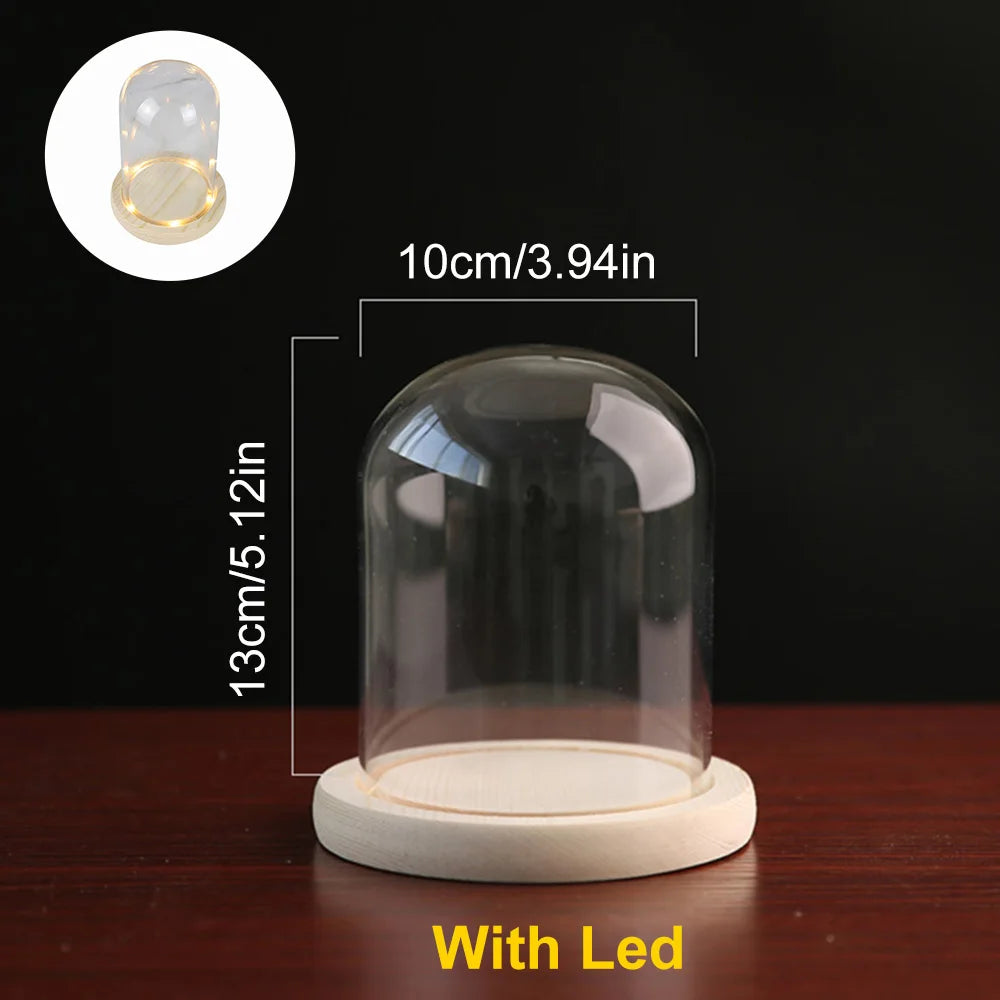 Glass Dome with Wooden Base & LED Light – Terrarium Vase, Flower Holder, Landscape Container for Bedroom Decor & Birthday Gifts