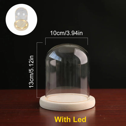 Glass Dome with Wooden Base & LED Light – Terrarium Vase, Flower Holder, Landscape Container for Bedroom Decor & Birthday Gifts