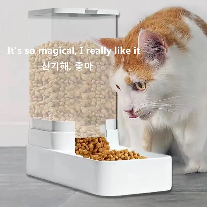 Transparent Automatic Pet Feeder – Food Storage Container & Water Bowl for Cats and Dogs