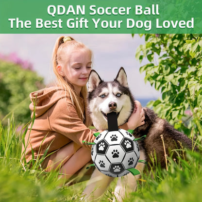 Damaly Interactive Dog Soccer Ball - Durable Water-Resistant Play Ball with Grip Ring for Chasing and Fetch, No Battery Required