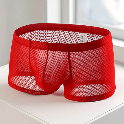 Men's Fishnet Mesh Boxer Shorts - Sexy Hollow Out Low Waist U Pouch Transparent Underwear Trunks Plus Size
