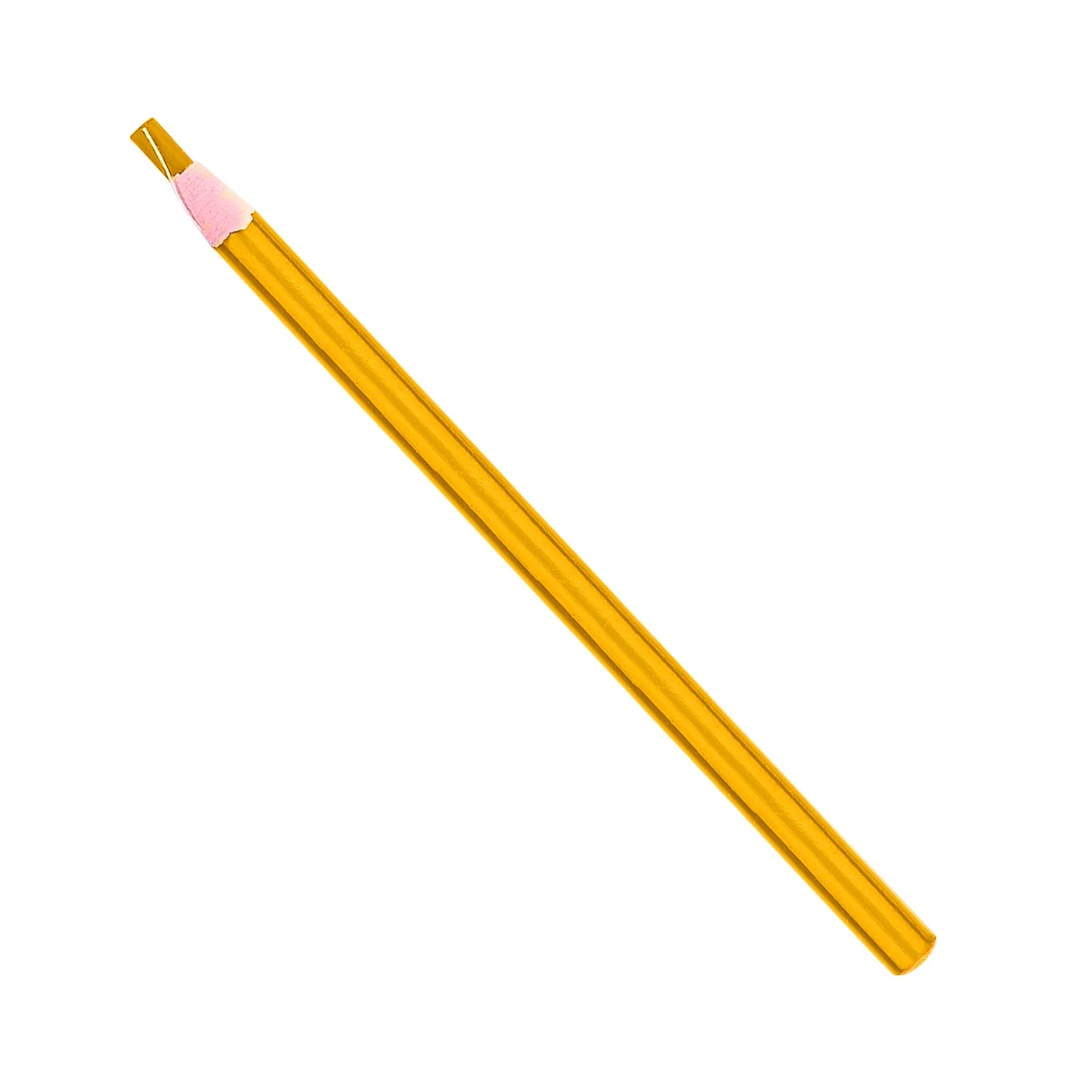 48582384288051