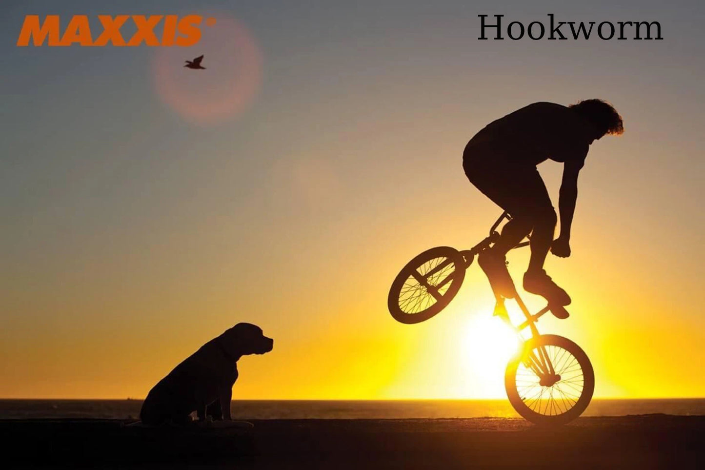 MAXXIS Hookworm BMX Bike Tire – 26x2.5 Wire Bead Clincher for Street, Park & Flatland, Multiple Sizes