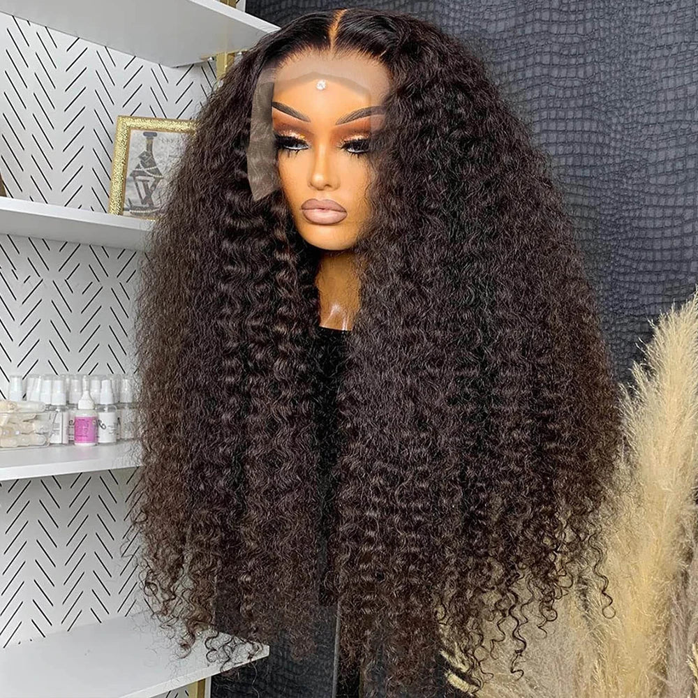 Curly HD Lace Front Wig – 100% Human Hair 13x6 Lace Frontal Deep Wave & Water Wave Wig, Affordable Wigs for Women
