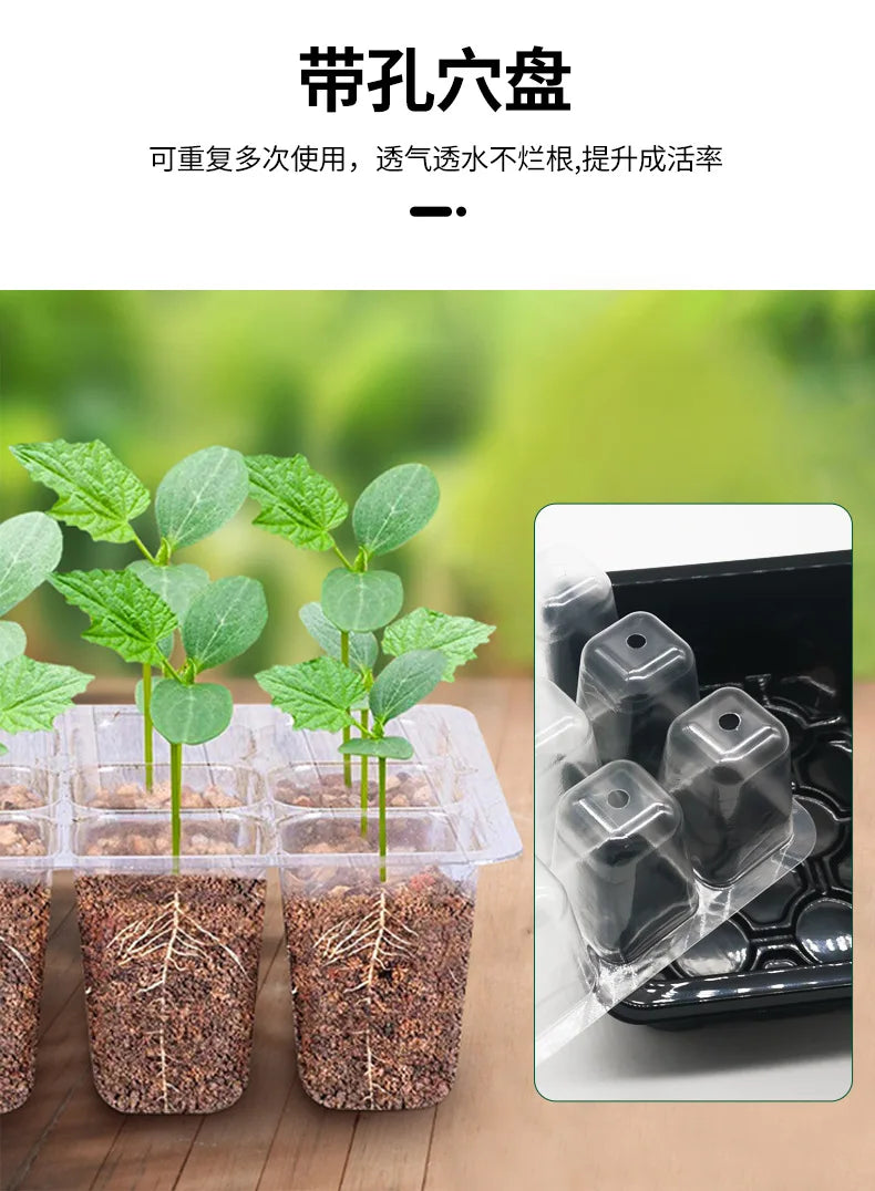 12-Well Plastic Seedling Tray | Insulated Pot for Succulent & Seed Sowing