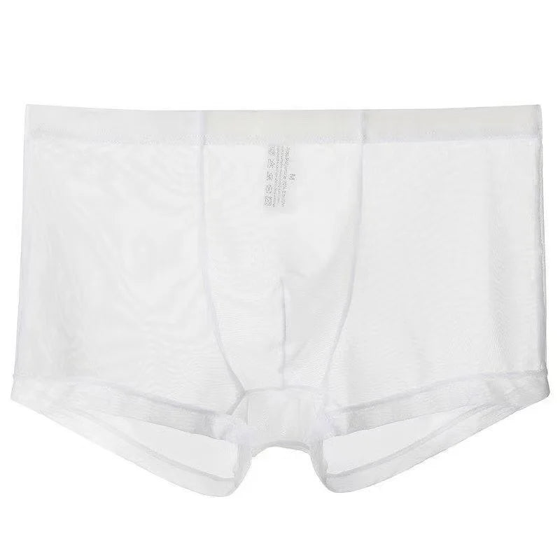 Transparent Ice Silk Men's Boxers - Low Waist See-Through Bulge Underwear