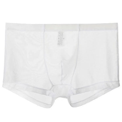 Transparent Ice Silk Men's Boxers - Low Waist See-Through Bulge Underwear