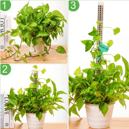 Plants Climbing Stick - Sphagnum Plant Support Trellis Frame - Water Moss Column Pole for Potted Flower Vines Climbing