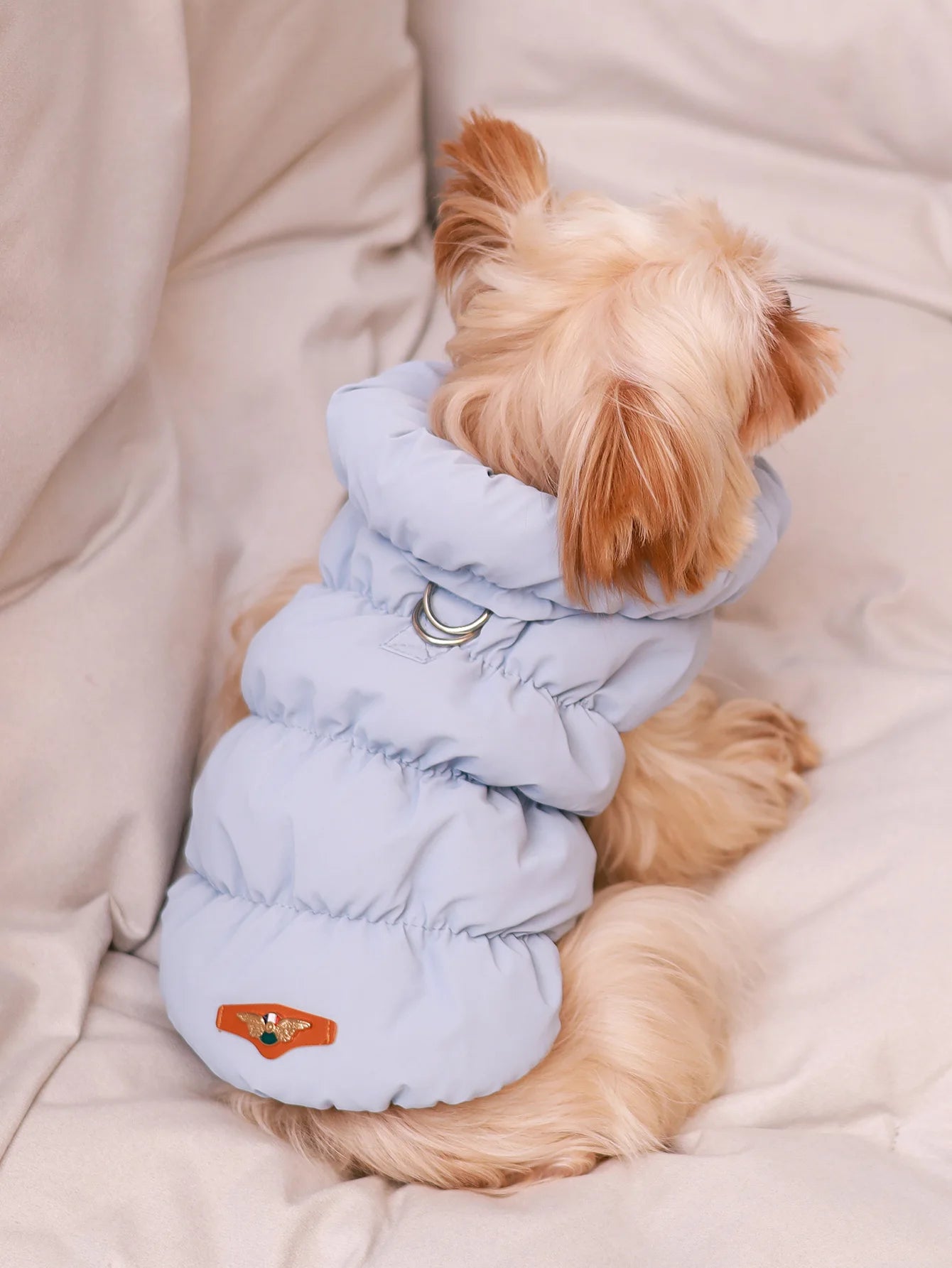 Dog Jacket for Autumn/Winter - 3-Layer Thick Warm Pet Coat for Small to Medium Dogs