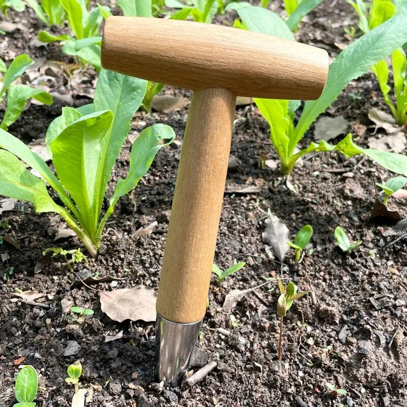 Hand Sow Dibbler with Wood Handle - Seed Sowing and Transplanting Tool for Planting Bulbs and Digging in Gardens
