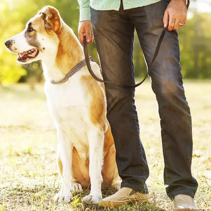 Genuine Leather Dog Leash – Braided Walking & Training Lead for Medium & Large Dogs, Brown & Black