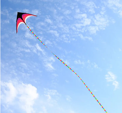 Large Decorative Show Kite - Professional Outdoor Wind Kite with Butterfly Snake Koi Design