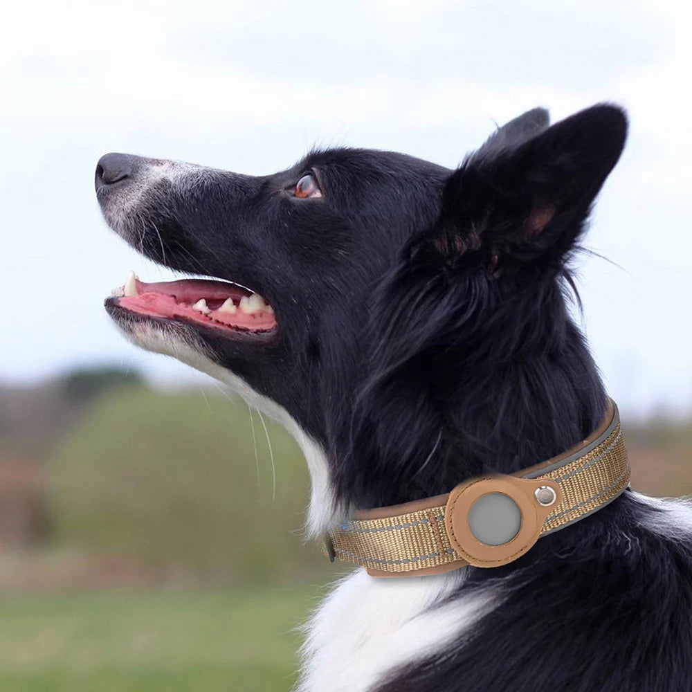Reflective Padded AirTag Dog Collar – Integrated AirTag Holder for Small, Medium & Large Dogs