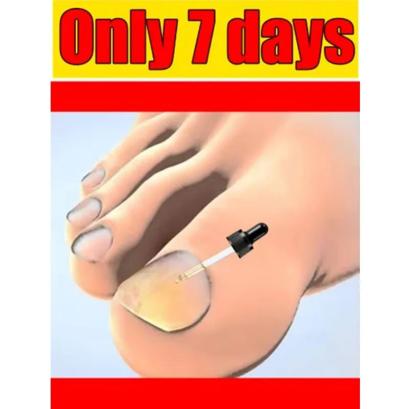 Rejuvenator with Fungus Prevention Technology — Adjustable Temperature Control & Safety Sensor