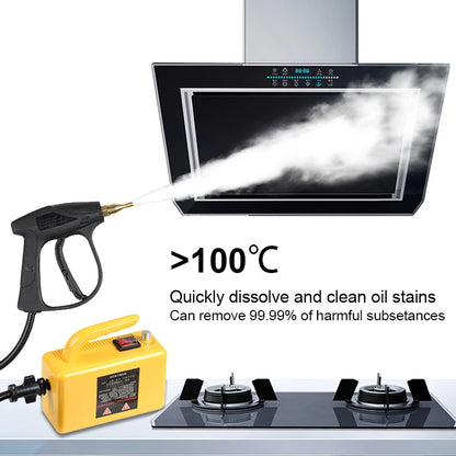 High-Temperature Home Steam Cleaner – Sterilization for Air Conditioning, Kitchen Hood & Car, 110V/220V
