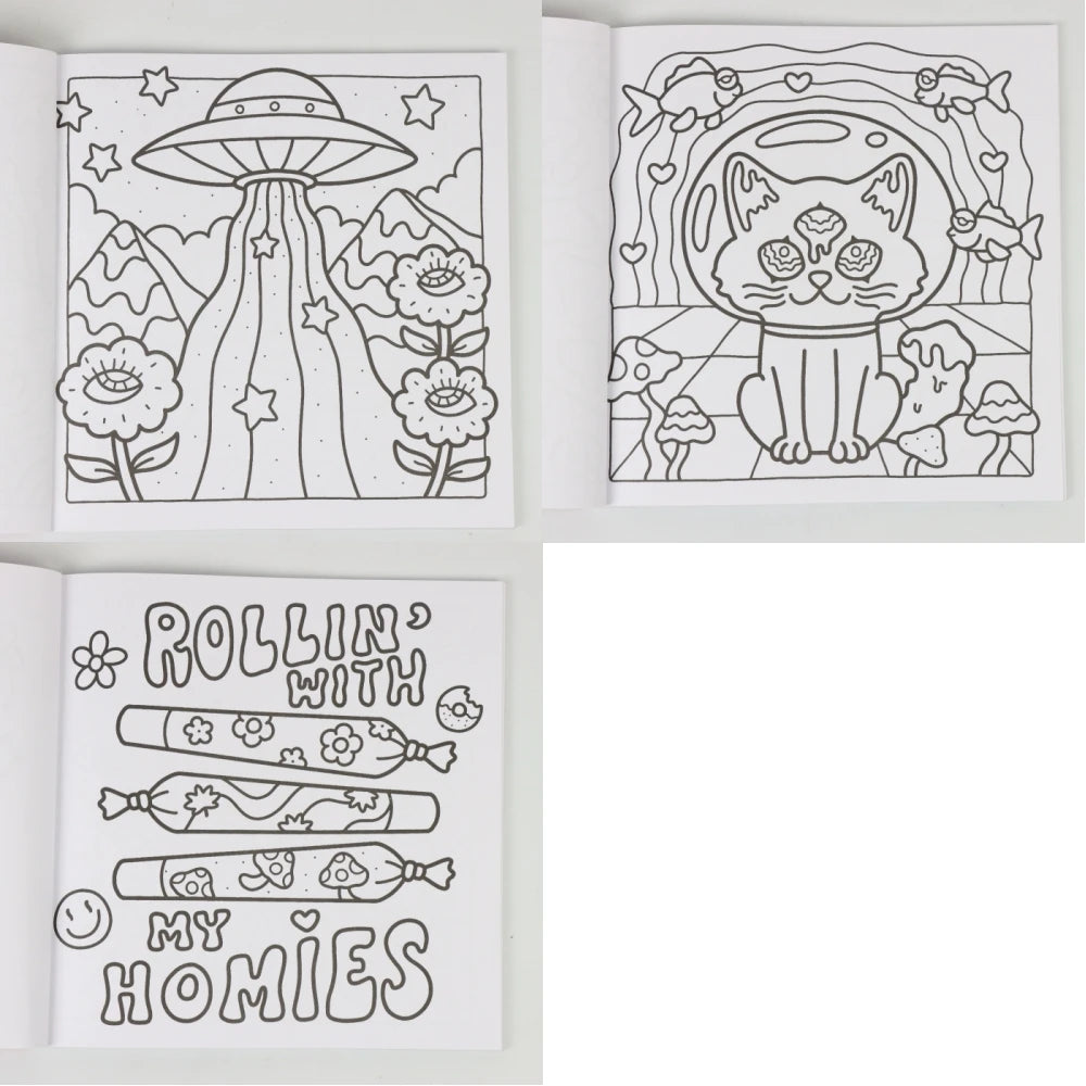 Into the Garden Coloring Book for Adults & Teens - Bold & Simple Designs with Plants, Flowers & Cute Animals