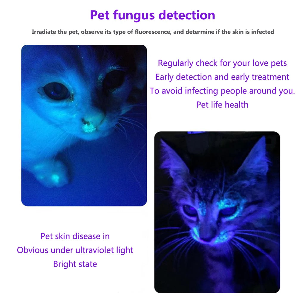 Mini 3W 365nm UV Flashlight – Rechargeable Ultraviolet Torch for Manicures, Pet Urine, Tinea, Money, Ore & Scorpion Detection