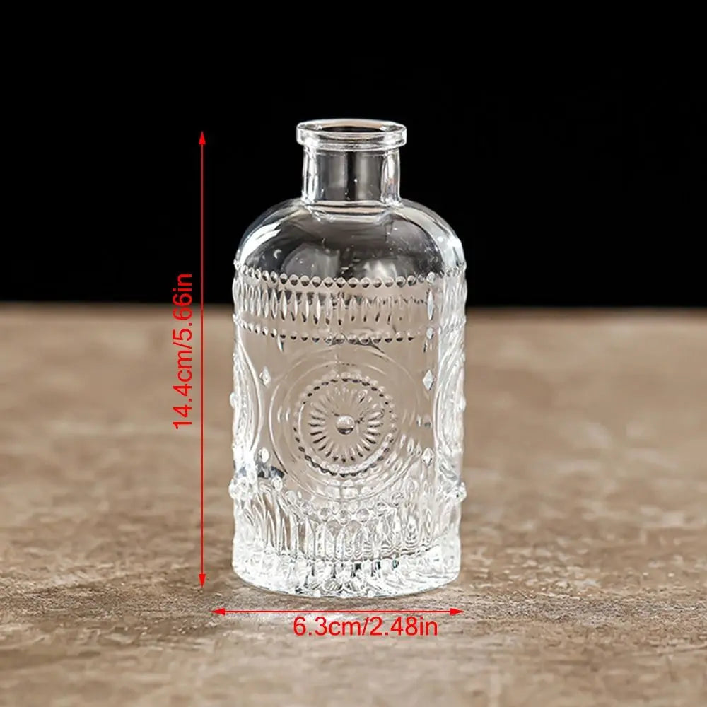 Retro Hydroponic Transparent Glass Vase — INS Style Flower Vase for Desktop, Home, Wedding & Party Decoration