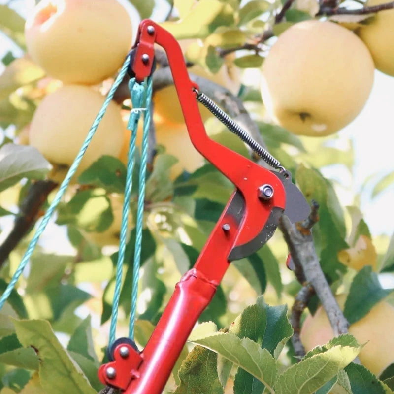 High-Altitude Extendable Lopper & Pruning Saw | Rope-Assisted Tree Branch Cutter for Fruit Trees | Garden Trimmer Tool