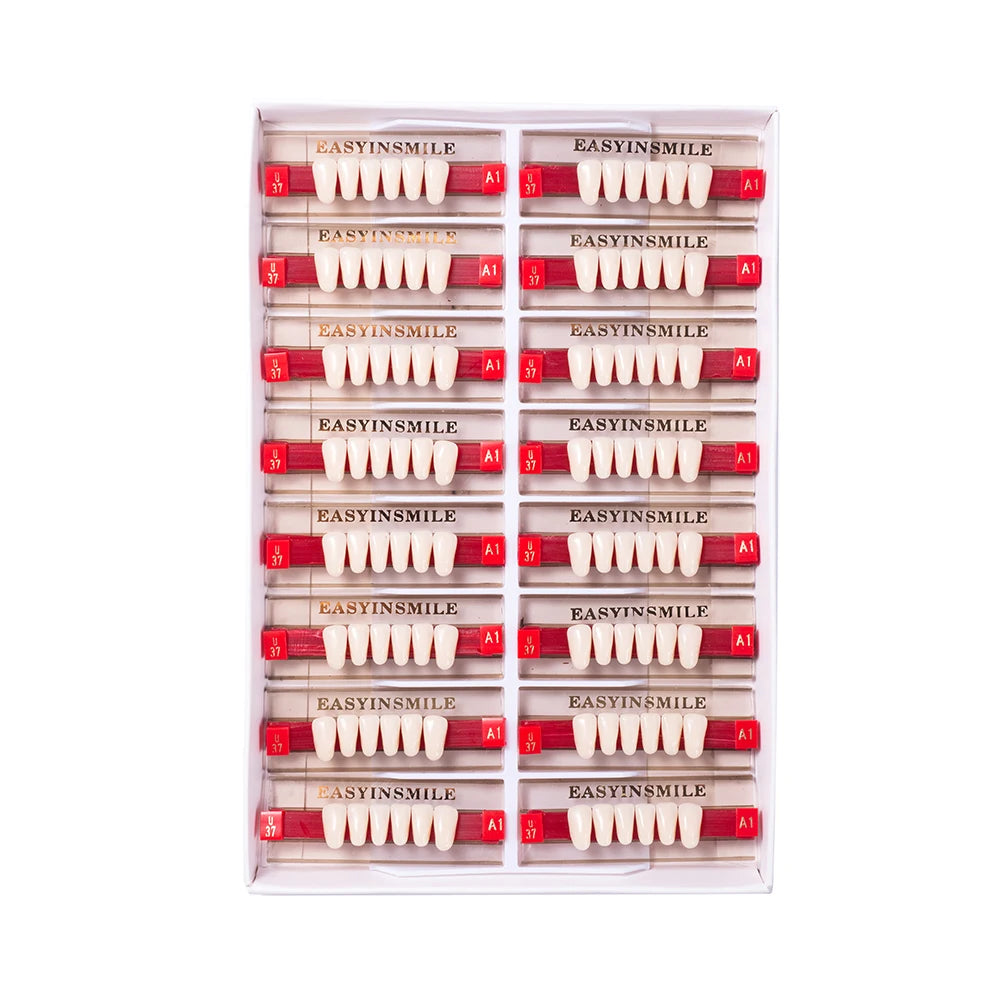 16/12 Set Dental Denture Teeth Model Kit, Upper & Lower Anterior Synthetic Polymer Teeth A2 A3 for Dental Education & Training
