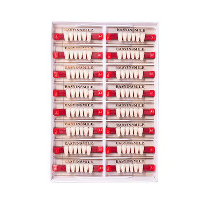 16/12 Set Dental Denture Teeth Model Kit, Upper & Lower Anterior Synthetic Polymer Teeth A2 A3 for Dental Education & Training