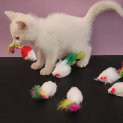 Interactive Cat Toy – Soft Fleece Mouse & Colorful Feather Training Toy for Kittens and Cats