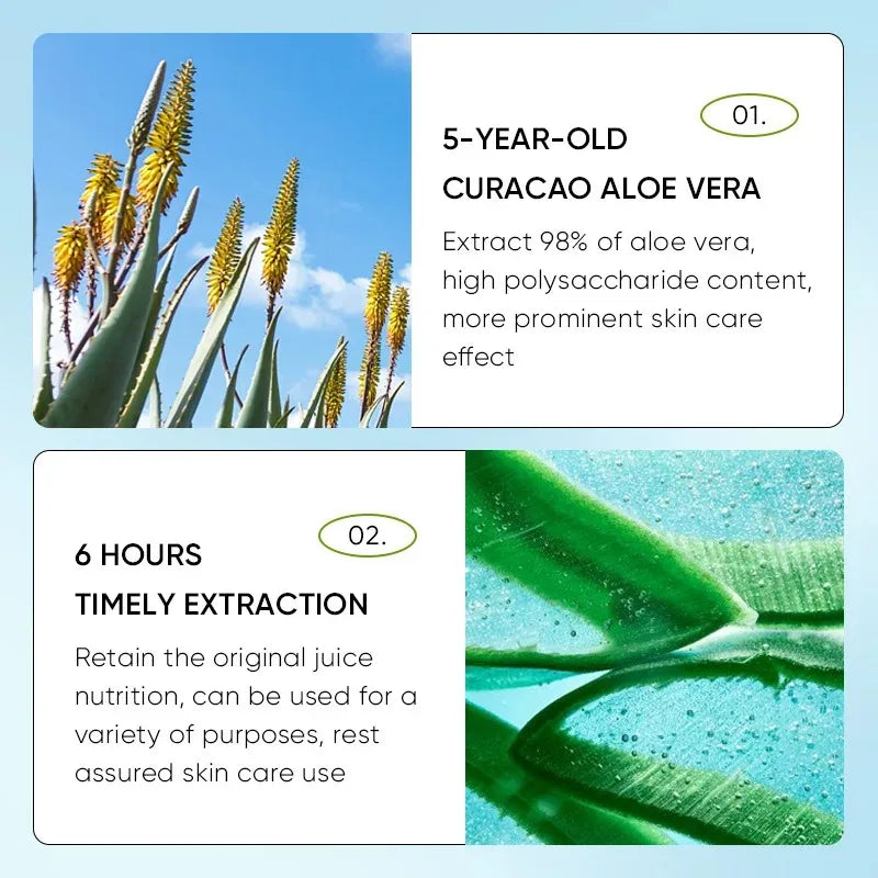 Aloe Vera Lip Balm - Nourishing, Hydrating, and Moisturizing Lip Care for Soft, Smooth Lips
