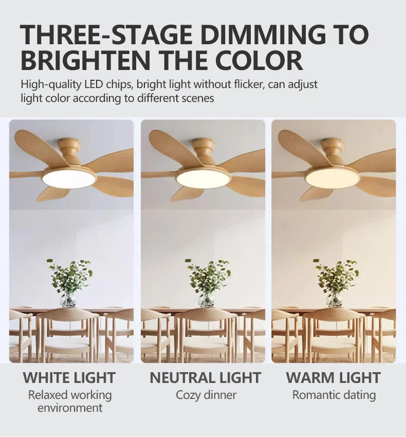 52-inch Modern LED Ceiling Fan — 60W Low Floor DC Motor, 35W Light, Remote Control, 110-220V