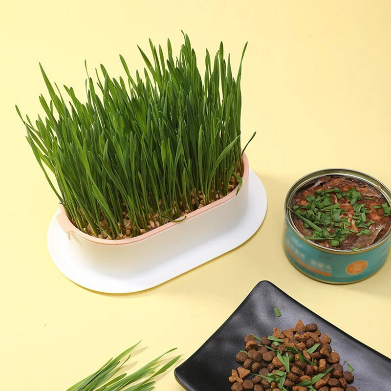 Creative Cat Snack Hydroponic Seedling Tray - Reusable Garden Catnip Growing Pot, Perfect Pet Supply for Feline Enthusiasts