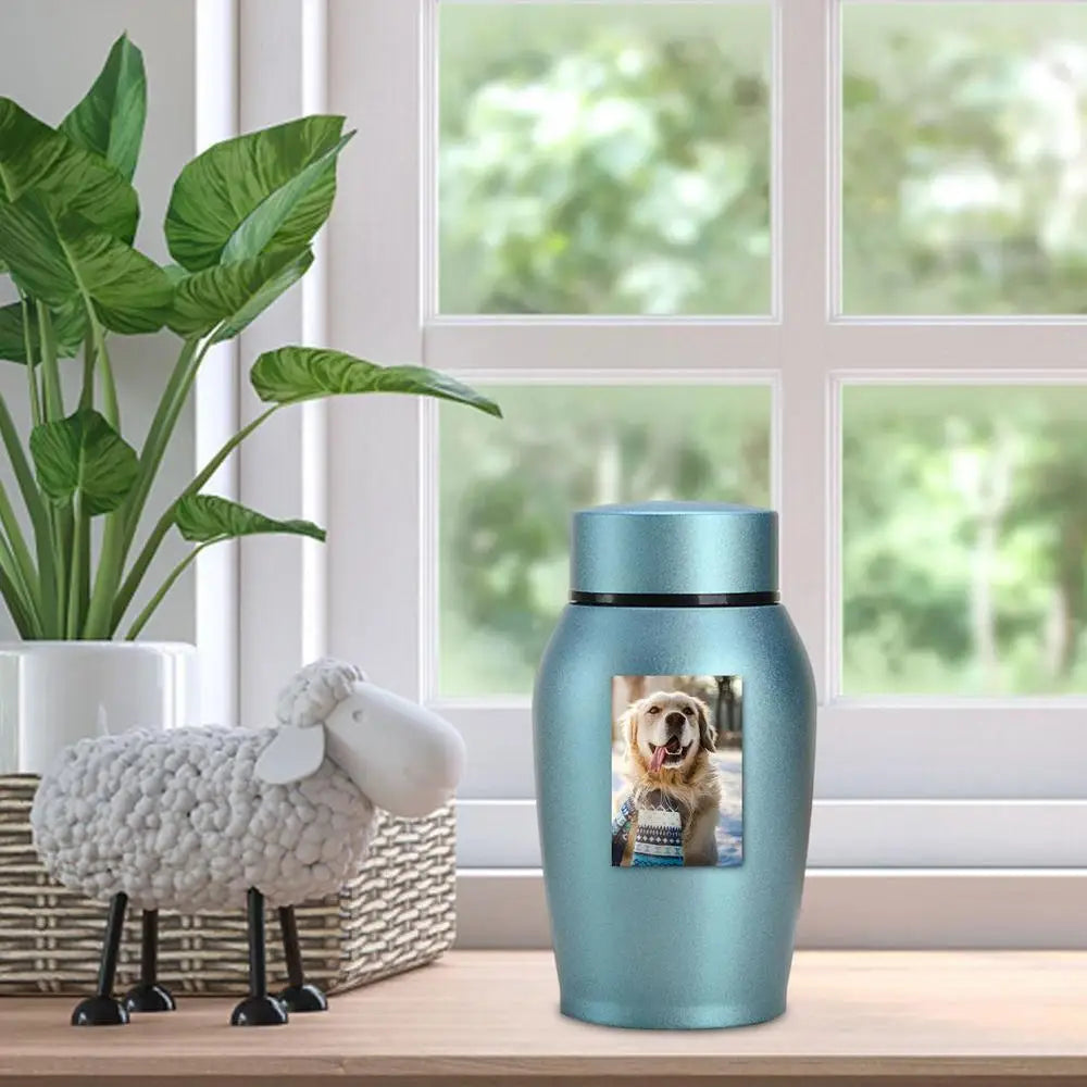 Multi-Colored Stainless Steel Pet Urn – Dog, Cat, Bird, Mouse Cremation Ashes Jar, Sealed Memorial Souvenir