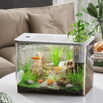 PET+ABS Transparent Fish Tank with Lid – Drop-Resistant Aquarium & Hydroponic Turtle Tank for Home