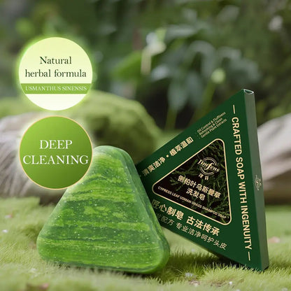 Usman Grass Herbal Shampoo Soap - Cypress Leaf & Polygonatum Extract for Oil Control and Scalp Care