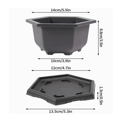 Purple Clay Succulent Plant Pots – Outdoor Garden Bonsai Planters, Rectangular & Square