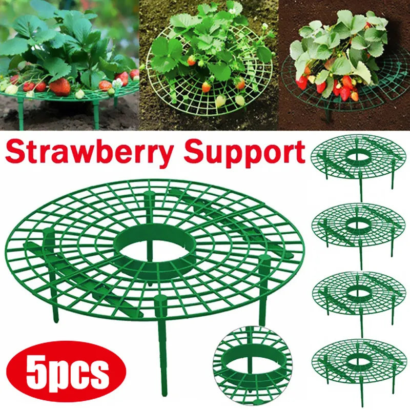 Strawberry Supports Fruit Stand | Vegetable Growing Rack for Garden | Protecting Vines Gardening Tool