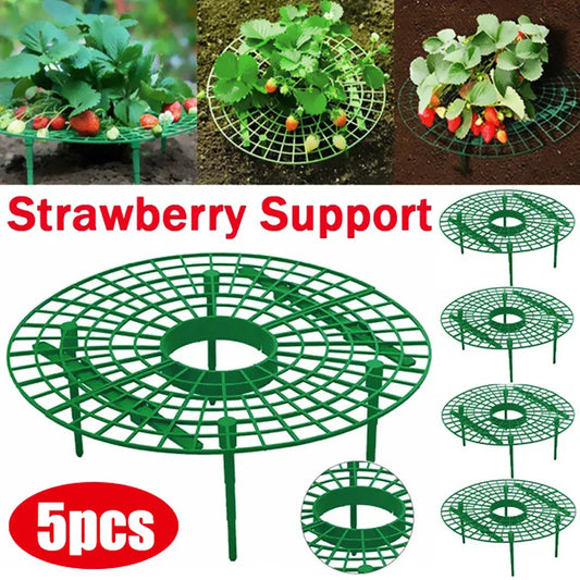Strawberry Supports Fruit Stand | Vegetable Growing Rack for Garden | Protecting Vines Gardening Tool