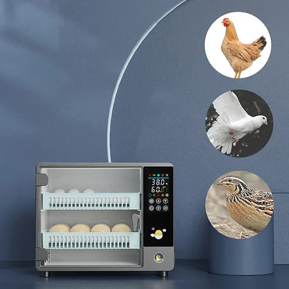24-Egg Automatic Incubator — Touch Control Hatchery Machine for Chicken, Duck, Quail & Bird Eggs