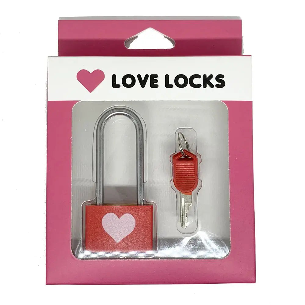 Modern Minimalist Anti-Theft ABS Locker Padlock – Love Lock for Valentine's Day and Couple's Long Handle Security Lock