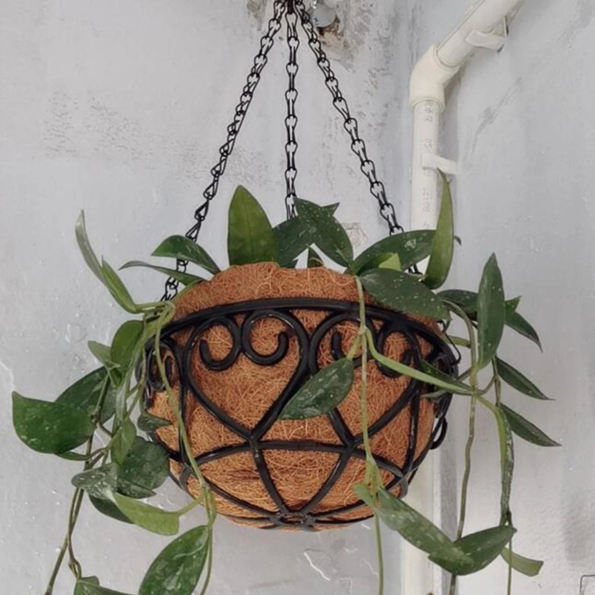 Coconut Brown Round Iron Chain Hanging Basket – European Style Flowerpot for Succulents & Chlorophytum Comosum Plants