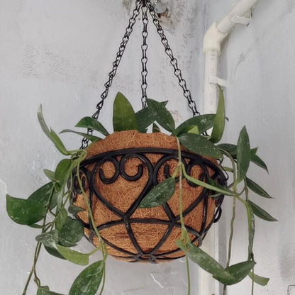 Coconut Brown Round Iron Chain Hanging Basket – European Style Flowerpot for Succulents & Chlorophytum Comosum Plants