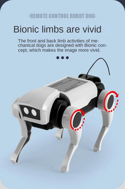 RC Robot Dog Toy for Kids – DIY Assembly Remote Control Mechanical Dog, Educational Science Model Gift for Boys