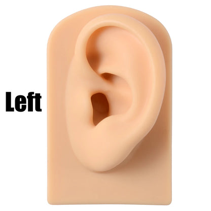 Soft Silicone Ear Nose Mouth Practice Model – Tattoo & Piercing Jewelry Display Stand with Acrylic Earring Holder Kit for Training & Showcase